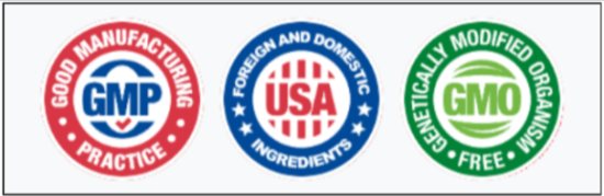 MaroBrain Certification
