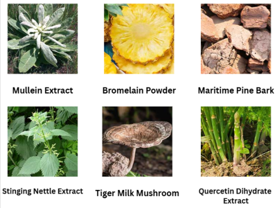 Pulmo Balance Ingredients